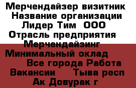 Мерчендайзер-визитник › Название организации ­ Лидер Тим, ООО › Отрасль предприятия ­ Мерчендайзинг › Минимальный оклад ­ 23 000 - Все города Работа » Вакансии   . Тыва респ.,Ак-Довурак г.